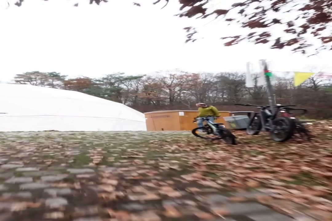 Freeman Festival 2025